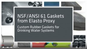 饮用水系统的NSF/ANSI 61垫圈